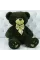 Teddy Gold green