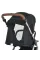 Візок дитячий ME 1053G-2 DYNAMIC PRO Special Black до 22кг,прогул.,регул.ручка,3пол.спинки,зол.рама.