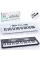 Синтезатор BX-1682A-B 49 клавіш, мікрофон, запис, демо, USB, 2 кольори, бат., кор., 61-22-8 см.
