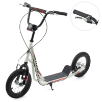 Самокат міський iTrike SR 2-045-3-W підлітковий