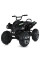 Дитячий електромобіль Квадроцикл M 5102EL-2(24V) до 50 кг