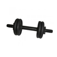Гантель складальна лита 4,5 кг NE-300-GP005
