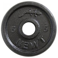 Диск сталевий Home TI-0006, 5 кг, 28 мм