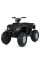 Дитячий електромобіль Квадроцикл M 6060EL-2 (24V) до 35 кг