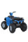 Дитячий електромобіль Квадроцикл M 6060EL-4 (24V) до 35 кг