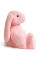 Плюшева іграшка Зайчення Міллі FWPBUNNY22LGPINK0 12 см