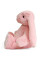 Плюшева іграшка Зайчення Міллі FWPBUNNY22LGPINK0 12 см