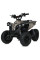 Дитячий електромобіль Квадроцикл PROF1 E-XBW-1200S-13(MP3) до 75 кг