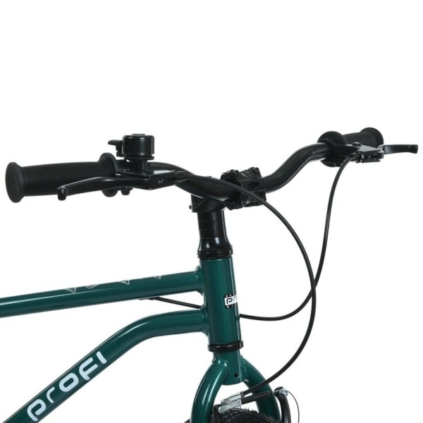 Велосипед дитячий LIGHTY MB 20LIGHTY RAIN FOREST, колеса 20 дюймів