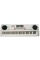Дитяче піаніно-синтезатор BF-630B2 USB, MP3 61 клавіша, мікрофон