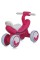 Дитяча каталка-толокар M 6239E-8 до 30 кг