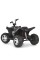 Дитячий електромобіль Квадроцикл M 6283EL-1-2 до 30 кг