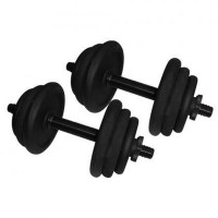 Гантелі набірні литі NE-300-GP013-2, 2 шт по 12,5 кг
