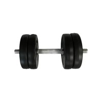 Гантель складальна композитна в пластиковій оболонці Rock Pro-R 11,5 кг NE-PL-R-011