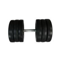 Гантель складальна композитна в пластиковій оболонці Rock Pro-R 16,5 кг NE-PL-R-016