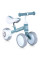 Біговел дитячий PROFI KIDS 6 д. MBB 1015-1 3 колеса EVA,сталева рама, блакитний